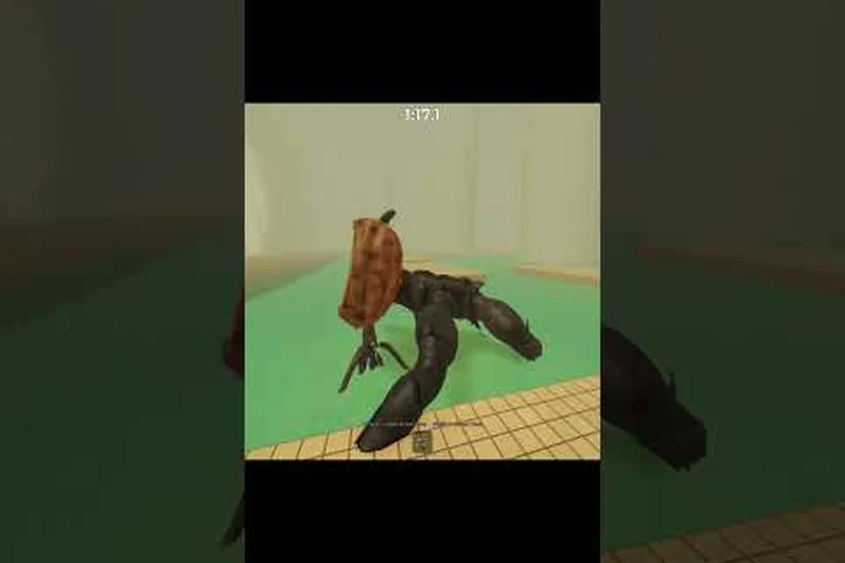 DONT SPLASH up and coming roblox: Why It Ranks