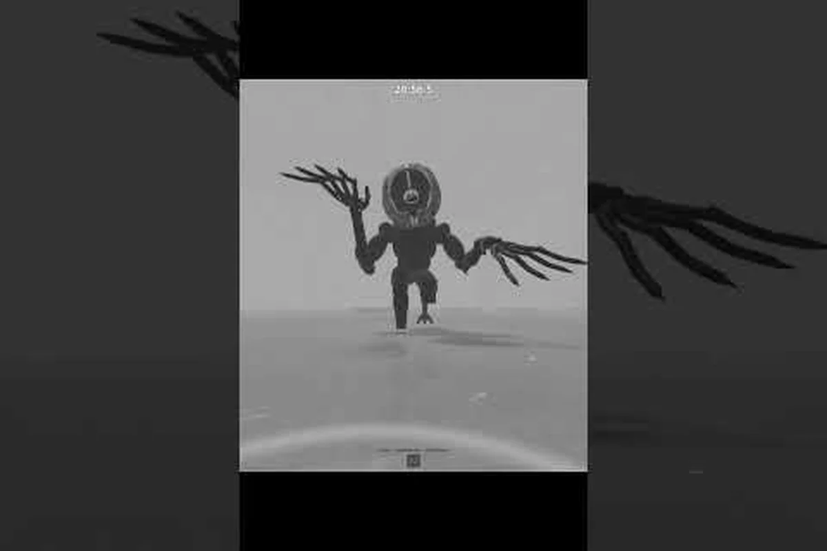 DONT SPLASH monster line of sight explained