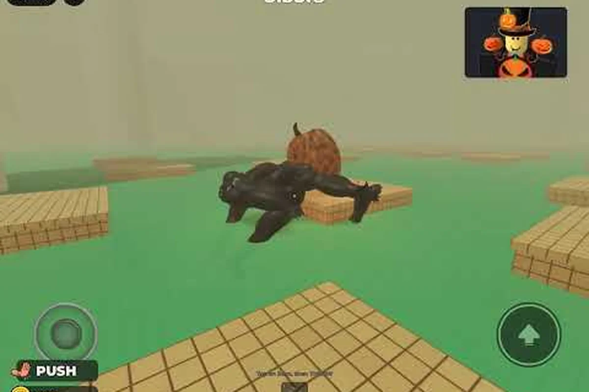 DONT SPLASH extra stages: Hidden Routes Revealed
